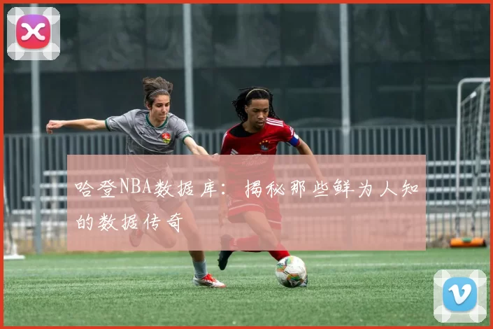 哈登NBA数据库：揭秘那些鲜为人知的数据传奇