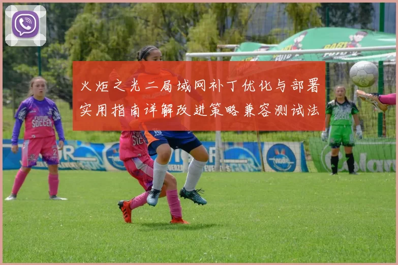 火炬之光二局域网补丁优化与部署实用指南详解改进策略兼容测试法