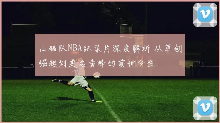 山猫队NBA纪录片深度解析 从草创崛起到更名黄蜂的前世今生