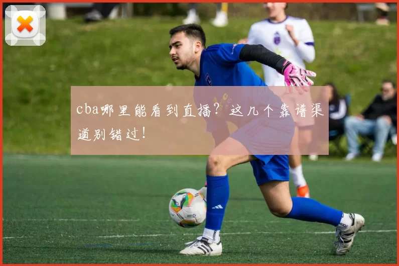 cba哪里能看到直播？这几个靠谱渠道别错过！