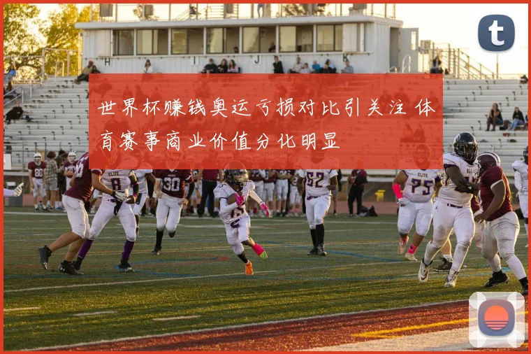 世界杯赚钱奥运亏损对比引关注 体育赛事商业价值分化明显