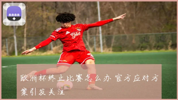 欧洲杯终止比赛怎么办 官方应对方案引发关注